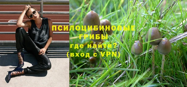 дживик Горняк