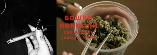 ГАЛЛЮЦИНОГЕННЫЕ ГРИБЫ Горно-Алтайск