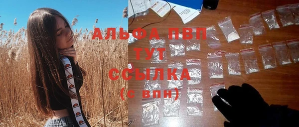 дживик Горняк