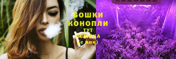 дживик Горняк