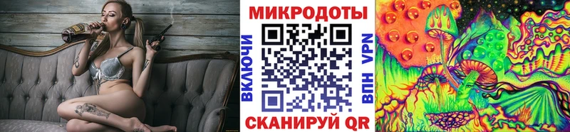 Галлюциногенные грибы MAGIC MUSHROOMS  нарко площадка клад  Ирбит 